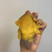 SLN