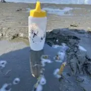 マテマテ即購入OKの画像