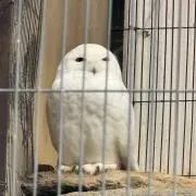 Deiの画像