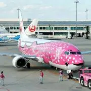 ジンベエの画像