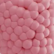 Gotchaの画像