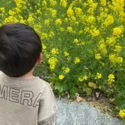 なのはな【在庫処分中】の画像
