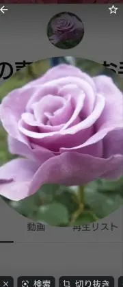 Pinkchanの画像