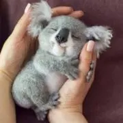 とり