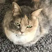 ハリケーン先輩