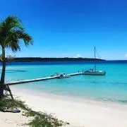 シゲチン