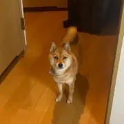 みなたかの画像