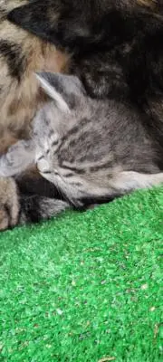 考える人※プロフ確認お願いしますの画像