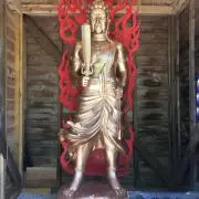 エリンギ