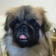 宗介ママ♪