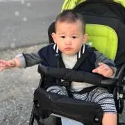 まんまるの画像