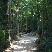 yatoppi