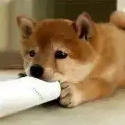 蘭★プロフ必見