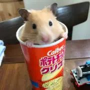 ハナハナちゃん