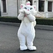 87310の画像