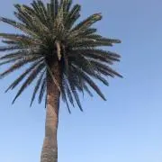 MooNの画像