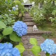 まーさんの画像