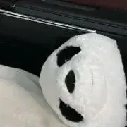 あんこの画像