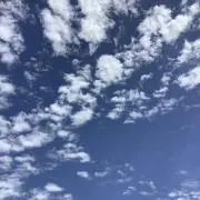 紅茶の画像