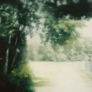 ちょんの画像