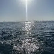獅子雄の画像
