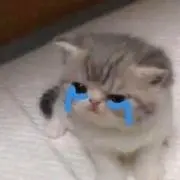 りの画像