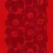 haaityの画像