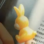 Rの画像