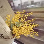 basis 即購入◎の画像