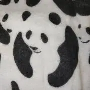 ぱんちゃんの画像