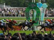 Butterflyの画像
