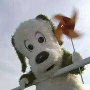 いづみの画像