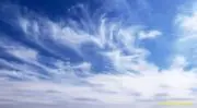 ももの画像