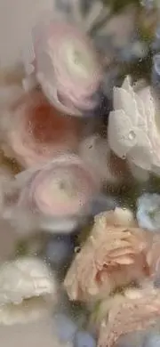 MIREの画像