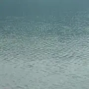 まきしの画像