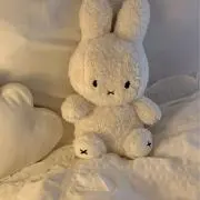 じゃがじゃがの画像