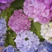 kiki※プロフ必須 しばらくゆっくりの画像