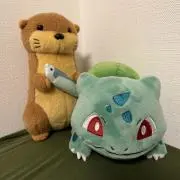 リノLinoの画像