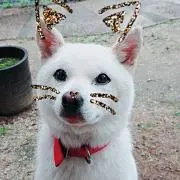 笑ちゃん