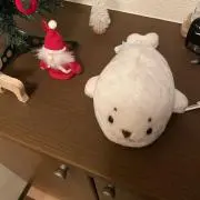 かつわの画像