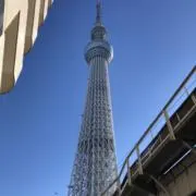 ひろんの画像