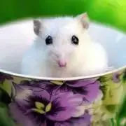 ペコちゃんの画像
