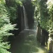 C.の画像