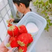 よしちゃんの画像