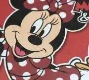 ジュディの画像