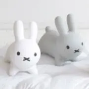 りいの画像