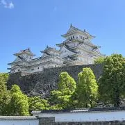 えむわいの画像