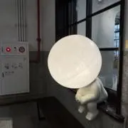 いぬの画像