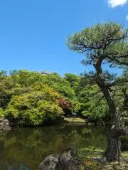 アグリスの画像