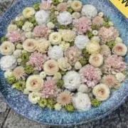 wanの画像